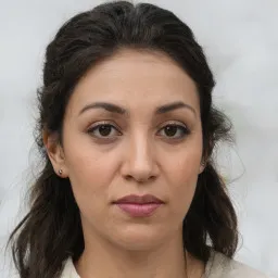 Trịnh Văn Nam